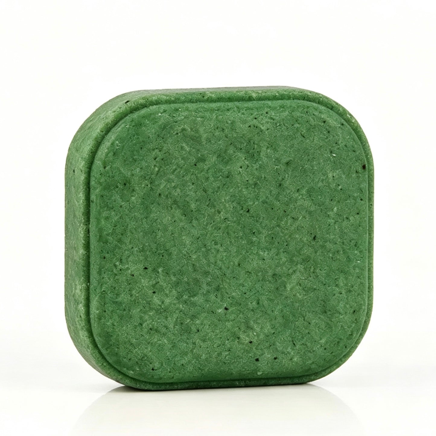 Balance — Arborvitae Leaf Shampoo Bar